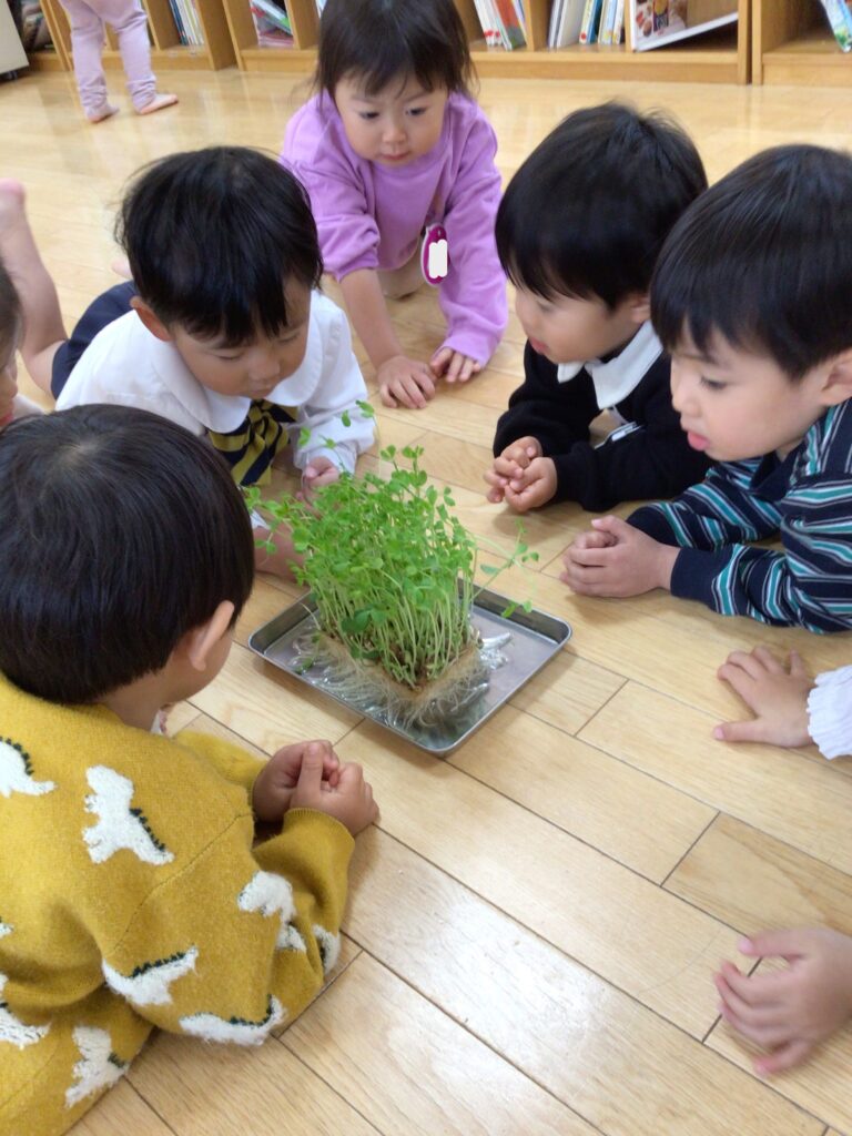 11 / 20（水）成長しました！🌱